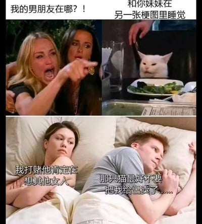 这是一张三格拼接的搞笑梗图，通过不同场景的组合形成一个完整的幽默叙事。上左图中一位金发女子愤怒地尖叫并指向右侧，配文“我的男朋友在哪？！”；上右图是一只表情冷漠的白猫坐在餐桌前，配文“和你妹妹在另一张梗图里睡觉”；下图展示一对男女躺在床上，女子怀疑地看向男子说“我打赌他肯定在想其他女人”，而男子则心虚地回应“那只猫最好不要把我给出卖了……”。整个梗图通过跨场景的对话制造出荒诞又搞笑的效果，调侃了情感关系中的猜疑和幽默的“出轨”借口。