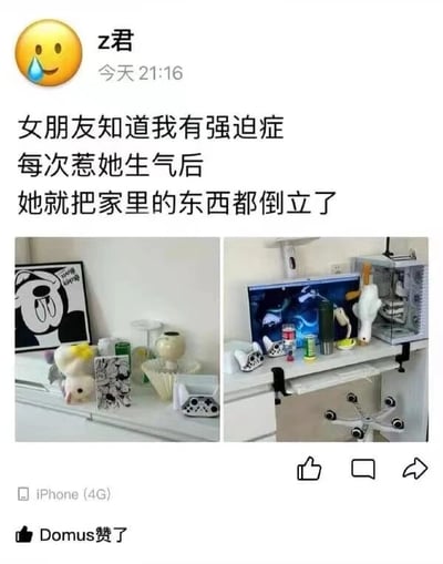 社交媒体用户“z君”分享的趣味日常：因自己有强迫症，每次惹女友生气后，女友会用“倒立疗法”——将家中物品（如游戏手柄、杯子、毛绒玩具、电脑显示器等）全部倒置摆放。配图展示了两个场景的倒立物品，幽默展现情侣间的独特互动方式，充满生活气息与调侃意味。
