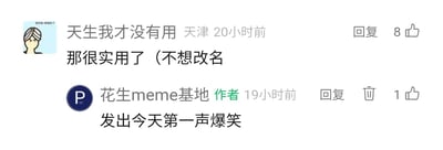 这是一张社交媒体评论区的截图，记录了用户与内容账号作者的趣味互动。用户“天生我才没有用”（所在地显示为天津）发布评论“那很实用了（不想改名”，结合其ID“天生我才没有用”，这句话充满自嘲式的幽默感，暗示自己的ID精准贴合了自我调侃的状态，括号里的“不想改名”进一步强化了这种摆烂式的自嘲态度。该评论获得了8个点赞。账号“花生meme基地”的作者随后回复“发出今天第一声爆笑”，表现出被这条评论戳中笑点的真实反应，作者的回复获得了1个点赞。整体场景轻松搞笑，是meme类内容社区中典型的用户与创作者趣味互动，通过巧妙的自嘲制造出诙谐的效果。