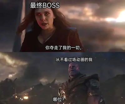 图片为上下对比的影视截图梗图，上半部分是眼神泛红、表情悲愤的女性角色（绯红女巫），背景火光弥漫，上方标注“最终BOSS”，下方文字“你夺走了我的一切。”；下半部分是身着盔甲、表情困惑的男性角色（灭霸），背景为阴沉废墟，上方文字“从不看过场动画的我”，下方文字“哪位?”。通过游戏玩家跳过剧情导致不认识最终BOSS背景故事的反差，制造“剧情党”与“速通党”的幽默冲突。