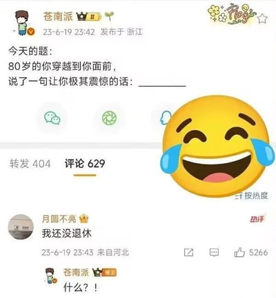 这张图截取自社交平台的热评区，上方是网友的提问：“80岁的你穿越到你面前，说了一句让你极其震惊的话：_______”。一位网友机智回复“我还没退休”，配以大哭笑表情，评论主也被逗笑，回应“什么?!”。整个对话充满当代年轻人对延迟退休、内卷压力的无奈与自嘲。

本图玩梗方式灵活，既能表达对未来的幽默焦虑，又能传递现实生活的共鸣，适合朋友圈、吐槽工作相关话题时使用。