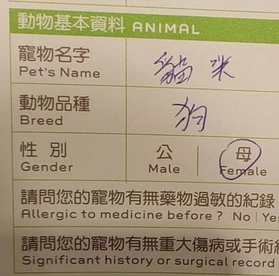 这是一张实拍的繁体中文宠物基本资料登记表局部截图，填写内容充满荒诞反差感：宠物名字栏写了「猫咪」，但动物品种栏却写了「狗」，性别栏圈选了母的选项，剩余的过敏史、伤病史项还未填写，内容好笑有梗。