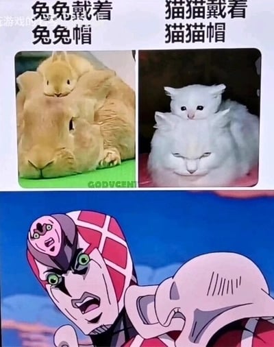 这是一张上下拼接的多图玩梗图，上半部分为左右对比的两张动物图：左侧是一只体型较大的兔子头顶趴着一只小兔子，配文“兔兔戴着兔兔帽”，将小兔子调侃为大兔子的帽子；右侧是一只大白猫头顶趴着一只小白猫，配文“猫猫戴着猫猫帽”，同理将小白猫调侃为大白猫的帽子，利用动物间的叠加制造趣味效果。下半部分是动画《JOJO的奇妙冒险：黄金之风》的角色葛德·米斯达的P图改编截图，在他的头顶添加了一个缩小版的自己的头部形象，对应上半部分的梗，形成“米斯达戴着米斯达帽”的搞笑呼应，整体通过同类叠加的视觉效果玩梗，风格幽默，结合了动物趣味内容与二次元ACG元素，适合在社群中传播娱乐。