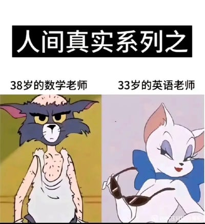 这是一张对比类幽默梗图，标题为"人间真实系列之"。图片左侧展示了38岁数学老师的形象，用《猫和老鼠》中衣衫褴褛、疲惫不堪的汤姆猫来表现；右侧则是33岁英语老师的形象，用《猫和老鼠》中优雅时尚的白猫图多盖洛手持太阳镜的造型来呈现。通过两个反差巨大的卡通角色，幽默地调侃了不同学科教师的刻板印象。