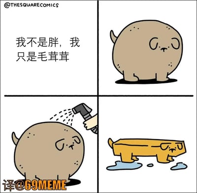 这是一张四格漫画。第一格出现文字“我不是胖，我只是毛茸茸”，第二格是一只非常圆滚滚的狗狗。第三格有人用喷头给狗狗冲水，第四格狗狗的毛被冲湿，变成瘦长方形，搞笑展示了狗狗实际上很瘦，之前看起来胖只是因为毛发蓬松。这张图巧妙地戳中了许多养宠人对毛发显胖的共鸣。

- 双关/暗示：漫画中“不是胖，只是毛茸茸”是调侃经常用来为自己‘掩饰’肥胖的流行语，具有轻松幽默的自嘲意味。
- 画面最后一格变成长方形的狗有夸张、恶搞的成分，增加笑点。
