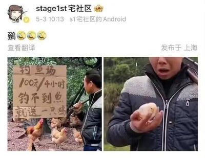 这是一张左右拼接的对比梗图，左图展示了一个钓鱼场的手写告示牌，上面写着「钓鱼场 100元/4小时 钓不到鱼 就送一只鸡」，告示牌旁还有几只成年家鸡；右图则是一名男子捧着一只小小的鸡崽，脸上露出惊讶的表情。<br>这张图利用了文字的歧义制造搞笑反差：告示牌里的「一只鸡」会让人默认是可以食用的成年鸡，结果实际给到的是刚孵化的小鸡崽，商家用这种文字游戏的方式兑现承诺，让人哭笑不得。