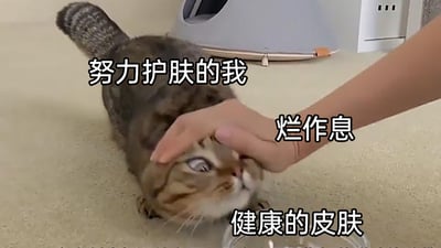 这是一张文字加注类静态梗图，画面主体是一只趴在地面上的虎斑猫，它的头部被一只人手按住，眼睛眯起，表情显得无奈又委屈。图中搭配了三段文字进行标注：猫咪上方的文字是“努力护肤的我”，对应代表有着护肤习惯的自己；按猫的手上标注“烂作息”，代表自己不健康的作息习惯；猫咪下方标注“健康的皮肤”，代表最终的皮肤状态。整张图用拟人化的反差手法，调侃当代年轻人一边保持着熬夜等不健康的作息，一边坚持护肤，最后皮肤状态依然不错的真实生活现状，内容贴近日常，容易引发年轻人的共鸣。