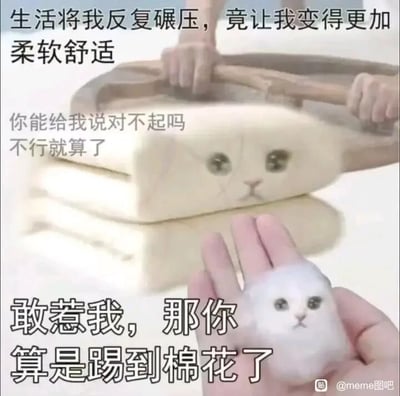 这是一张P图改编的图文混排静态表情包，画面分为上下两个部分。上半部分展示了一张被当作棉花的猫咪，有双手正用工具反复碾压它，配文“生活将我反复碾压，竟让我变得更加柔软舒适”，下方还有一行小字“你能给我说对不起吗 不行就算了”，表现出猫咪（代指创作者自身）在生活的压力下变得佛系、软弱，连讨要道歉都带着怯懦与退缩；下半部分是一只被捏在手掌中的迷你棉花猫咪，配文“敢惹我，那你算是踢到棉花了”，这里运用了双关手法，既呼应了猫咪变成棉花的视觉设定，又用“踢到棉花”来比喻自己像棉花一样没有攻击性，不会进行反击，是一种摆烂、自嘲式的情绪表达，用搞笑的画面和贴合当下年轻人心态的文案，来抒发被生活磋磨后的无奈与佛系心态，容易引发受众共鸣。