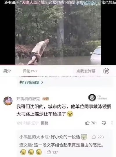 这张图是哔哩哔哩（B站）的界面截图，上半部分是城市内涝相关的视频播放画面：道路被积水淹没，一名穿浅色短袖、黑色短裤的男子站在积水中，旁边停着被水淹了半个轮胎的白色汽车，背景是茂密的树木，视频上方飘有观众发送的弹幕，内容包含“还有高手?天津人点了赞 这松弛感!也要注意安全呀!我也想玩”，播放界面下方显示该视频共有1977条评论。下半部分是该视频的热评区，用户“开钩机的舒克”发布评论称自己沈阳的朋友的同事，在城市内涝时戴泳镜在大马路上蝶泳被车撞了，附带尴尬表情，该评论获761个点赞，下方还有两条高赞回复，分别调侃这段评论内容小众、有自由的感觉，整体内容充满荒诞的搞笑感。