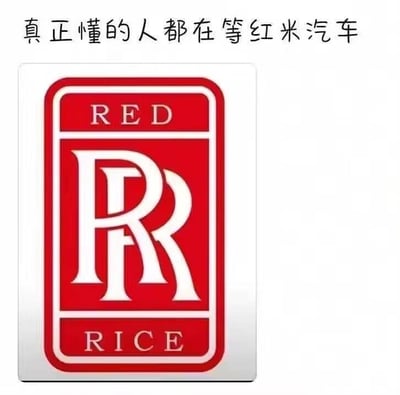 这是一张网友自制的搞笑玩梗图，上方配有文字“真正懂的人都在等红米汽车”，下方是一个模仿劳斯莱斯经典双R车标的红色标志，标志上方标注英文“RED”，下方标注“RICE”，将红米（Redmi）的品牌名称拆解为RED和RICE，替换劳斯莱斯的标识元素。这张图利用了高端品牌与高性价比品牌的反差感，玩谐音和模仿梗，调侃如果红米推出汽车产品，会延续其亲民高性价比的定位，对标高端豪车品牌，制造出幽默的反差效果，引发网友对红米造车的趣味畅想。