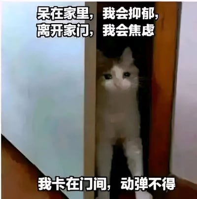 一只白猫卡在门框中间，只露出头部和前爪，表情平静地注视前方。图片上方配有文字“呆在家里，我会抑郁，离开家门，我会焦虑”，下方配有文字“我卡在门间，动弹不得”。这张图通过猫咪卡在门中间的有趣场景，幽默地表达了现代人面对出门与宅家时的矛盾心理和焦虑情绪。