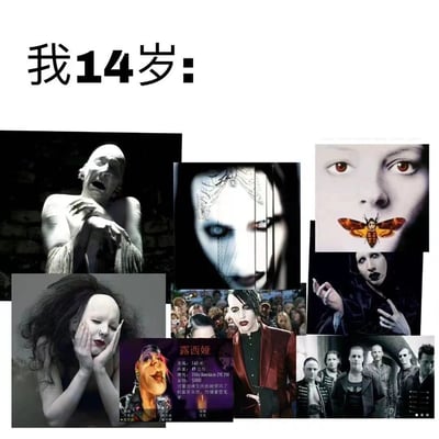 图片顶部以黑色粗体文字标注“我14岁：”，下方采用多图拼接形式呈现多张具有强烈暗黑、哥特气质的人物图像。包含光头嘶吼的人物特写、面部带有几何纹路与蓝色瞳孔的冷峻面孔、鼻尖停留着飞蛾的诡异人像、白发遮面的苍白妆容者、被人群簇拥的中心人物、身着红色外套的舞台形象，以及一组身着深色服饰的群体合影。整体通过夸张的视觉符号，幽默调侃青少年时期对“边缘美学”的刻意追求，展现一种怀旧式的自嘲感。
