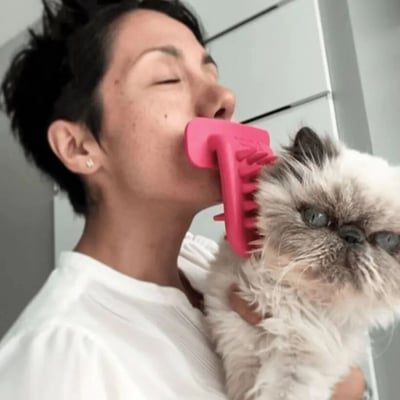 一位短发人士穿着白色上衣，嘴里叼着一把粉色梳子，同时抱着一只毛发蓬松的灰白色猫咪。猫咪表情看起来有些严肃或不耐烦，与主人略显滑稽的造型形成有趣对比。背景是浅色的室内环境，可能是浴室或厨房。