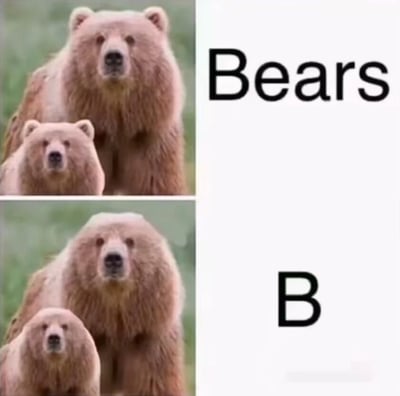 这是一张两格拼接的梗图，上方格子展示两只熊并配有文字'Bears'，下方格子展示相同的两只熊但只配有字母'B'，通过缩写制造幽默效果。