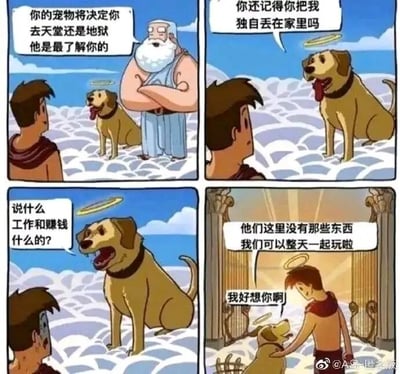 暂无描述