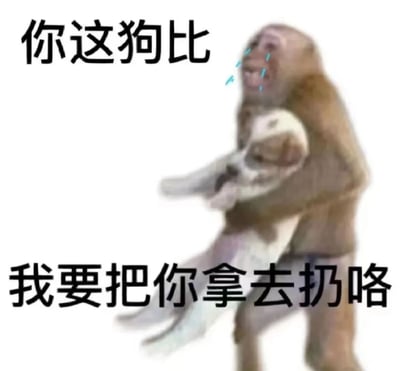 一只猴子抱着一只小狗，脸上流着蓝色的眼泪，看起来很伤心。图片上有两行中文文字：上方是“你这狗比”，下方是“我要把你拿去扔咯”。这张图通过动物拟人化和反差萌的方式制造幽默效果。
