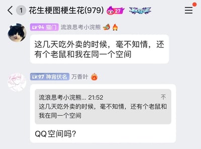这是一张QQ群“花生梗图梗生花(979)”的聊天记录截图，群成员“流浪思考小浣熊”分享自己吃外卖时，不知情的情况下和老鼠处于同一现实空间的经历，另一位群成员“万香叶”抓住“空间”一词的多义性，玩梗将其曲解为“QQ空间”，回复“QQ空间吗？”，通过双关制造出幽默的效果，是网友日常互动中的搞笑玩梗内容。