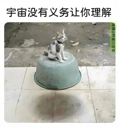 这是一张带有视觉错位效果的静态梗图：一只真实的小花猫平静地坐在倒扣在地面的灰绿色塑料盆上，地面上的阴影看起来像是盆正放时的投影，形成了小猫仿佛坐在悬空的盆上的错觉。图片上方配有黑色文字“宇宙没有义务让你理解”，用这个违背常规认知的视觉错位场景来呼应文案，营造出一种荒诞的“无法理解”的氛围，常被用来吐槽遇到不合逻辑、难以解释的事情时的无奈心态，引发观者共鸣。