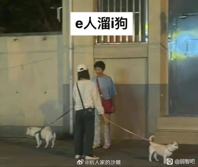 这是一张夜晚户外场景的实拍静态图，画面中一位戴白色帽子的女性背对着镜头，双手各牵一根狗绳，与面前穿蓝色上衣的女性站在墙边轻松交谈。她牵着的两只小狗状态完全不同：左侧的小狗缩在墙边，身体紧绷，显得十分拘谨；右侧的小狗则抬头张望，姿态活泼。图的上方配有文字“e人溜i狗”，借用当下热门的MBTI人格分类，将性格内敛、社恐的“I人”比作拘谨的小狗，把外向、社牛的“E人”比作活泼的小狗，用生动的画面调侃了不同人格类型的社交状态，充满趣味。