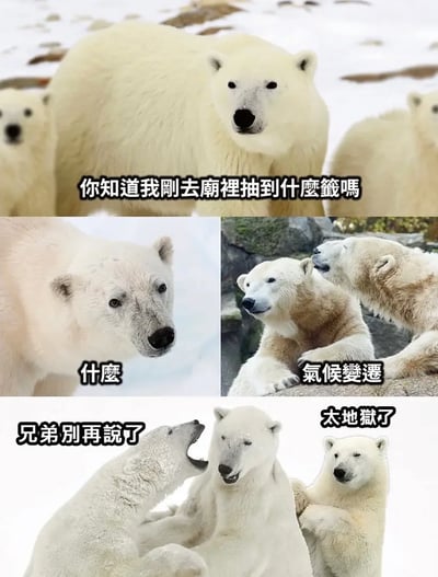 这是一组由多张真实北极熊照片拼接而成的连环地狱笑话梗图，通过北极熊之间的对话制造讽刺幽默效果：第一张图里的北极熊平静提问“你知道我刚去庙里抽到什么签吗”，第二张图的北极熊露出疑惑表情回应“什么”，第三张图中一只北极熊对另一只耳语，配文给出答案“气候变迁”，第四张图的北极熊崩溃大喊“兄弟别再说了”，第五张图的北极熊一脸麻木绝望，配文“太地狱了”。该梗结合了北极熊因气候变迁失去冰雪家园的现实生存困境，用抽签的生活化场景玩黑色幽默，精准戳中极地动物的生存痛点，属于典型的地狱笑话，以讽刺的方式传递气候变暖对野生动物的严重影响。