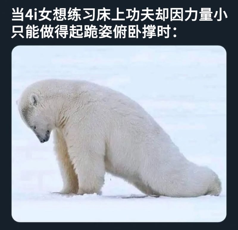 野生动物摄影