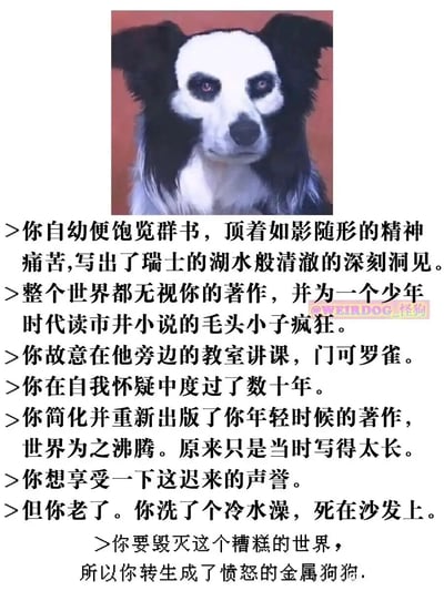 这是一张图文结合的搞笑Meme梗图，上方是经过P图处理的动物图片，将狗狗的脸部修改为熊猫的样子，狗狗表情严肃，眼神带着疲惫与愤怒，神态郁闷。下方是一段原创的荒诞人生叙事：讲述了一位天赋异禀、饱受精神痛苦的作者，年轻时写出了深刻的著作，却因篇幅过长被整个世界无视，世人反而追捧一位读市井小说的作者，他在自我怀疑中度过数十年，晚年简化年轻时的著作后终于获得迟来的声誉，却在准备享受时因洗冷水澡意外离世，最后选择转生成图中这只愤怒的金属狗狗，想要毁灭这个糟糕的世界。这段故事充满黑色幽默与戏谑感，用夸张的情节讽刺了文坛的荒诞现象，也调侃了怀才不遇的无奈。