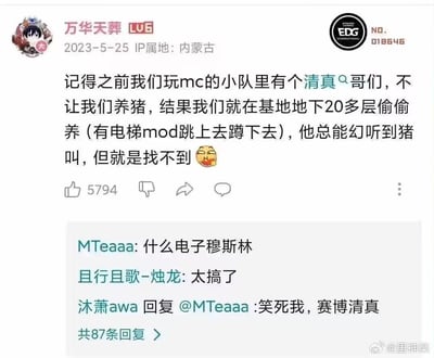 B站用户「万华天葬」分享了和朋友玩《我的世界》（MC）的趣味经历：小队里有一位遵循清真习俗的朋友，禁止大家在游戏里养猪，于是其他人便利用电梯模组，在基地地下20多层偷偷养猪。令人哭笑不得的是，这位朋友总能幻听到猪叫，却始终找不到猪的位置。评论区网友纷纷玩梗，将这个场景调侃为「电子穆斯林」「赛博清真」，引发大量欢乐互动。
该内容没有双关或谐音梗，主要是通过游戏里的趣味日常结合网络热词玩梗，制造搞笑效果。