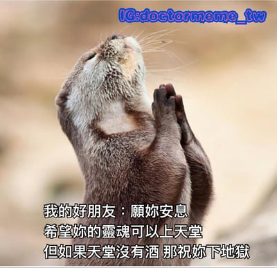 图片中是一只水獭直立站立，双爪合十向上仰望，姿态酷似祈祷。背景为模糊的自然场景。图片底部配有中文文字：“我的好朋友：願妳安息 希望妳的靈魂可以上天堂 但如果天堂沒有酒 那祝妳下地獄”。水獭虔诚的祈祷姿势与文字中前半段正经祝福和后半段“没酒就下地狱”的戏谑转折形成强烈反差，营造出幽默搞笑的效果。