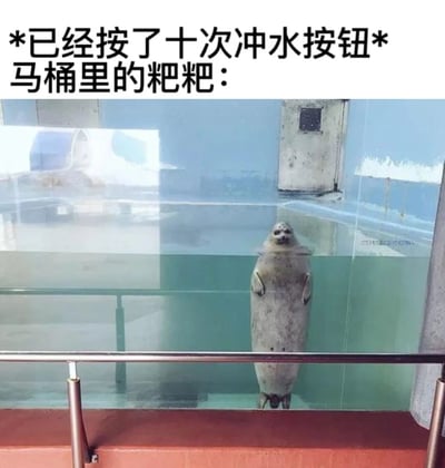 图片上方有文字“*已经按了十次冲水按钮* 马桶里的粑粑：”，下方是一只海豹直立在玻璃水箱中，表情淡定地看着前方。通过将海豹比喻为“冲不走的粑粑”，用幽默的方式表现了生活中马桶堵塞的无奈场景。