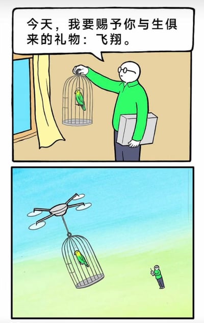 这是一组上下两格的连环冷幽默漫画：上格中，穿绿色上衣的戴眼镜人物，一只手提着装有绿色鹦鹉的鸟笼，另一只手抱着盒子，一本正经地对着笼里的鹦鹉说“今天，我要赐予你与生俱来的礼物：飞翔。”；下格的场景则是该人物站在地面操控无人机，无人机用线吊着鹦鹉的鸟笼在空中飞行，鹦鹉依旧被关在笼子里，完全没有获得真正的飞翔自由。漫画用预期违背的荒诞方式制造笑点，表面说要给鹦鹉飞翔的能力，实际只是带着笼子一起升空，充满了冷幽默的荒诞感。