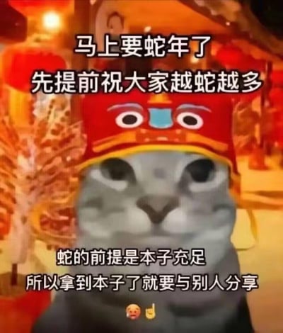 这是一张结合悲伤猫表情包与蛇年元素的搞笑玩梗图，背景是充满年味的红色中式街道，猫咪头戴喜庆的中式官帽样式帽子。图中文字运用了谐音梗，将“蛇”谐音成隐晦的成人向词汇，提前送上“越蛇越多”的祝福，还调侃“蛇的前提是本子充足，所以拿到本子了就要与别人分享”，用低俗搞笑的方式制作蛇年拜年梗图，适合在熟人社交圈里玩梗互动。
**谐音梗说明**：“蛇”谐音“射”，是成人向的隐晦玩笑，“本子”在这里指代色情漫画类内容。