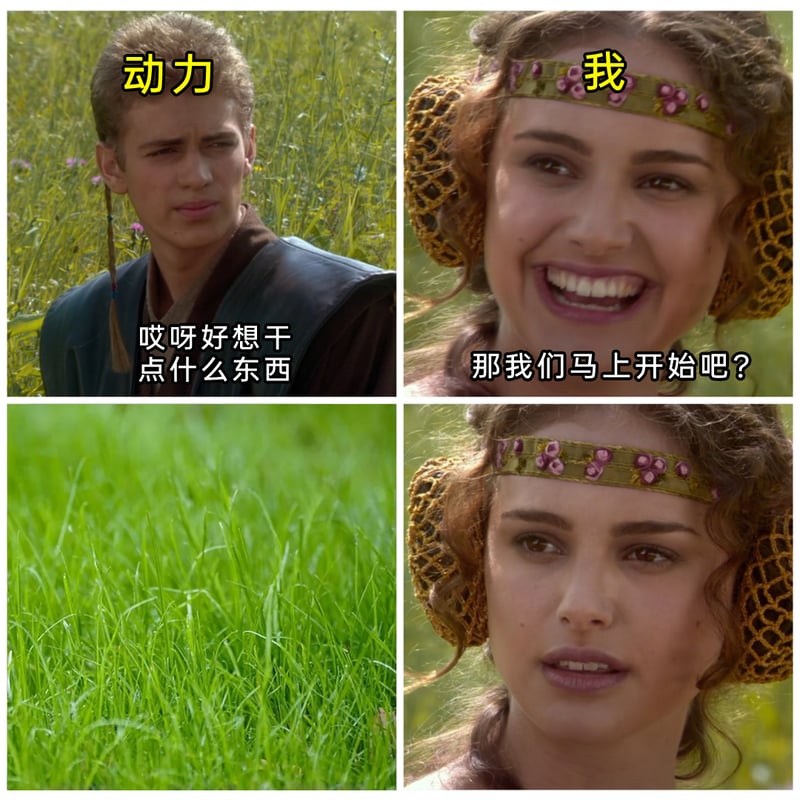 帕德梅·阿米达拉