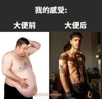 这是一张左右对比图，上方有文字“我的感受:”，左侧标注“大便前”并配有一位腹部突出的肥胖男性，他单手摸肚子、另一只手挠头，表情略显不适；右侧标注“大便后”并配有一位肌肉发达的男性，他赤裸上身，手臂有纹身，站姿挺拔自信。图片通过夸张的身材对比，幽默地表现了排便前后身体感受的巨大差异。