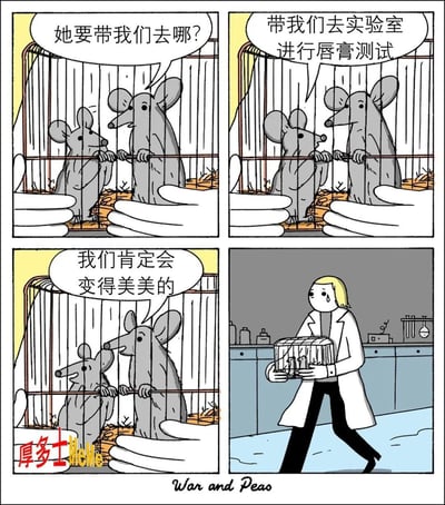 这张图是一则来自著名网络漫画《War and Peas》的搞笑四格漫画，内容是两只被关在笼子里的实验室小白鼠对即将进行的实验满怀憧憬，还以为自己会变美，实际上却是要被用来做唇膏测试。漫画讽刺了动物实验话题以及部分无知乐观的心态。语言风格轻松幽默，同时也带有一点黑色幽默。无明显双关或谐音梗。