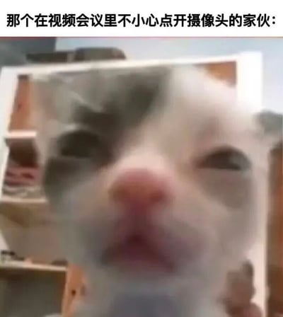图片上方有文字"那个在视频会议里不小心点开摄像头的家伙:"，下方是一张近距离拍摄的猫脸特写。猫咪表情震惊，眼睛睁大，嘴巴微张，完美诠释了人们在视频会议中不小心打开摄像头时的尴尬与惊慌状态。