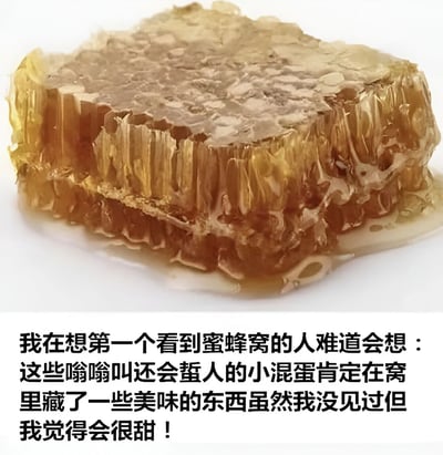 图片上半部分是一块金黄色的蜜蜂窝特写，蜂窝结构清晰可见，边缘有蜂蜜缓缓滴落，呈现出自然的光泽和质感。下半部分配有一段文字，幽默地想象第一个看到蜜蜂窝的人的心理活动：“这些嗡嗡叫还会蜇人的小混蛋肯定在窝里藏了一些美味的东西虽然我没见过但我觉得会很甜！”，通过反差感营造出搞笑效果。