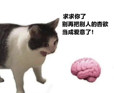 一张黑白相间的猫表情严肃地看着一个粉色大脑插图，旁边配有文字："求求你了 别再把别人的杏欲当成爱意了!"。这张图片用幽默的方式表达了对人们混淆性欲和爱意的无奈与提醒。