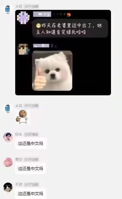 社交媒体聊天记录截图，显示用户“火花”（LV11 白银）发送了一条包含“昨天在老婆里边中出了，她主人知道肯定绿死哈哈”文字的消息，并附带一张白色毛茸茸小狗竖大拇指的图片。随后，用户“火花”本人及“衫末”（LV28 黄金）、“清空”（LV18 白银）、“不详”（LV17 白银）等多位用户连续回复“这还是中文吗”，形成重复疑问的互动场景。图片整体为聊天界面截图，包含用户头像、等级标识及对话内容。