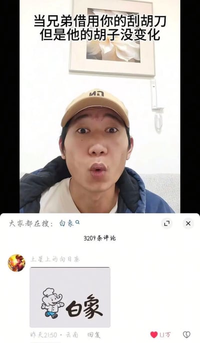 这是一张网络搞笑梗图，由上半部分的短视频截图和下半部分的评论区拼接而成。上半部分是一名戴卡其色帽子的男子正对镜头做出疑惑震惊的噘嘴表情，上方配文“当兄弟借用你的刮胡刀但是他的胡子没变化”，背景是挂有花卉装饰画的白墙，该场景暗示兄弟没有用刮胡刀刮胡子，而是拿去刮了其他私密部位的毛发。下半部分是该视频的评论区，热门评论发出了国产品牌白象的logo，利用“白象”和“白刮”的谐音玩梗，指代刮胡刀被白白用在了非刮胡子的用途上，该评论收获1.1万点赞，页面显示大家都在搜的词条为“白象”。