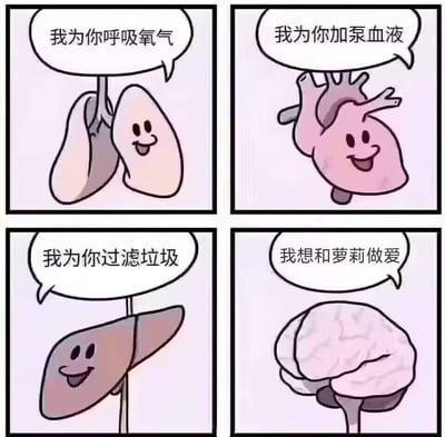 这是一幅四格连环卡通梗图，前三格分别展示了拟人化的肺、心脏、肝脏，它们面带微笑，依次介绍自己为人体提供的正向功能：肺负责呼吸氧气，心脏负责泵血，肝脏负责过滤垃圾；第四格的大脑却说出了涉及恋童的违法且违背公序良俗的不当话语，通过前三格的正向铺垫与第四格的反向离谱内容形成强烈反差，试图制造笑点，但内容包含严重不良且违法的表述，违反法律与道德准则。