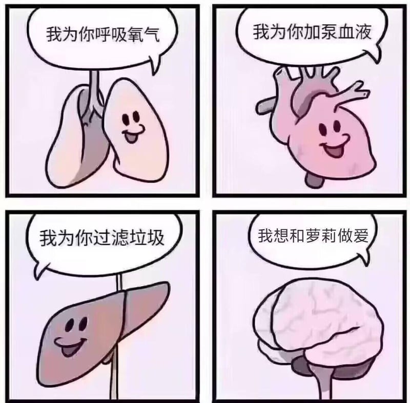 拟人化心脏