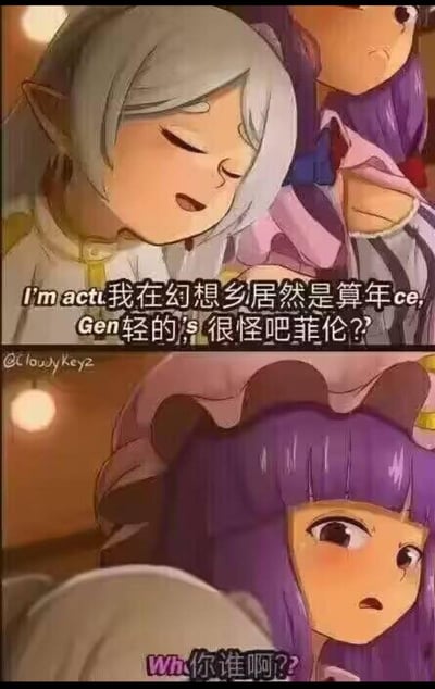这是一张两格连环漫画，描绘了东方Project中的角色互动场景。上格中白发精灵角色闭眼微笑着对紫发角色说："我在幻想乡居然是算年轻的，很怪吧菲伦？"，话语中夹杂着"I'm actu"、"Gen轻的"等中英文混杂的片段。下格中紫发角色则露出困惑表情反问："你谁啊？"，形成了身份认知错位的搞笑效果。画面采用温暖的室内色调，角色表情生动，对话充满幽默感。