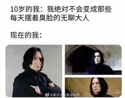 这是一张调侃成长反差的网络梗图，采用图文混排的形式，上方先配文“10岁的我：我绝对不会变成那些每天摆着臭脸的无聊大人”，接着是“现在的我：”的文字，下方配了三张《哈利·波特》系列影视中西弗勒斯·斯内普的截图，三张截图里的斯内普均呈现出冷漠阴沉、不耐烦的臭脸神态，用来调侃长大后的自己最终活成了小时候讨厌的那种整日脸色不好的大人，反差感强烈，充满自嘲的笑点。