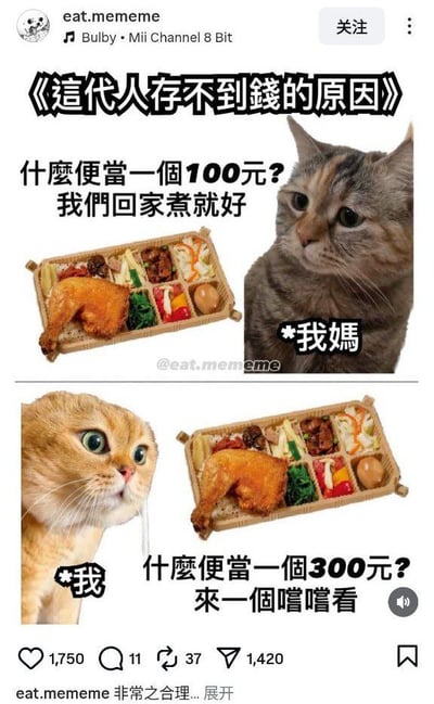 这是一张对比式幽默梗图，标题为《這代人存不到錢的原因》。上图中一只灰色猫咪（标注“我媽”）面对100元的便當说：“什麼便當一個100元? 我們回家煮就好”，表现出节俭的消费观念；下图中一只橘色猫咪（标注“我”）面对300元的便當说：“什麼便當一個300元? 來一個嚐嚐看”，展现出冲动消费的态度。通过母子（女）对不同价格便當的反应对比，幽默地解释了当代年轻人存不到钱的原因。