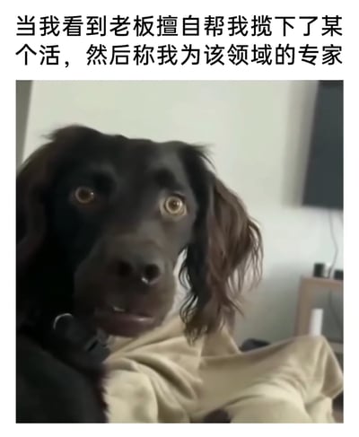 这是一张精准戳中职场人痛点的梗图，图上方配有文字“当我看到老板擅自帮我揽下了某个活，然后称我为该领域的专家”，图中主体是一只眼睛瞪大、瞳孔收缩、嘴巴微张的黑狗，它的表情惊恐又带着茫然错愕，完美对应了打工人面对老板突然擅自加活，还被强行“捧成专家”时，那种震惊、不知所措又满是无奈的心情，生动还原了职场中身不由己的尴尬处境。