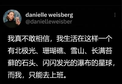 这是一张社交媒体截图，展示了用户danielle weisberg的帖子。帖子内容表达了对生活在拥有北极光、珊瑚礁、雪山等自然美景的星球上，却只能去上班的无奈与幽默吐槽。