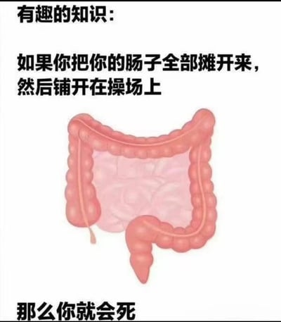 这是一张走荒诞搞笑风格的图文混排梗图，以科普类的“有趣的知识”为开头，引导读者产生对人体肠子展开后的规模的好奇，中间搭配一幅清晰的卡通风格人体大肠示意图，最后用一句直白又必然的“那么你就会死”作为结尾，形成强烈的反差感，制造出冷笑话的效果，属于网络上流行的整蛊式趣味内容，用来博人一笑。