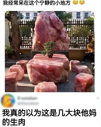 图片展示了一处户外场景，中央摆放着一套由大块粉色石头打造的石桌和石凳，周围有树木、铁艺围栏及建筑物背景。图片上方配有文字“我经常呆在这个宁静的小地方 😊😊”，下方则是幽默吐槽“我真的以为这是几大块他妈的生肉”。由于粉色石头的颜色和纹理与生肉高度相似，形成了强烈的视觉错觉，引发搞笑效果。