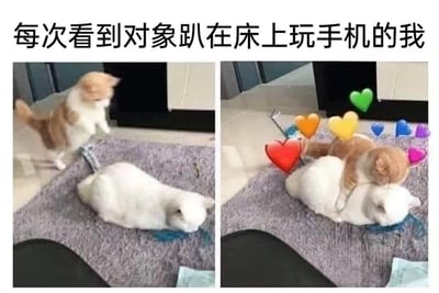 左侧画面中，一只橘白相间的猫咪站在趴在地上的白猫身后，尾巴翘起，似乎正悄悄靠近；右侧画面中，橘白猫已亲昵地趴在白猫背上，周围环绕着红色、橙色、黄色、绿色、蓝色、紫色等彩色爱心图案，营造出温馨氛围。上方文字“每次看到对象趴在床上玩手机的我”将猫咪的互动拟人化，生动表达了看到伴侣悠闲玩手机时自己内心充满爱意、想要亲近的心情。