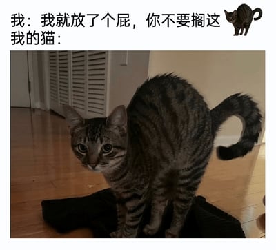 这是一张趣味十足的宠物主题梗图，采用图文混排的形式呈现。上方配文分为两部分，“我”的台词为“我就放了个屁，你不要搁这[猫]”，并搭配一个小型猫咪图标，紧接着是“我的猫：”，引出下方的实拍图片。图片中的虎斑猫身处室内木质地板环境，站在一件黑色衣物上，全身毛发炸起，尾巴弯曲翘起，眼睛圆睁，面部表情混杂着惊恐与嫌弃，生动还原了猫咪闻到铲屎官放出的屁后，仿佛受到强烈刺激的反应，通过铲屎官的轻描淡写和猫咪的夸张反应形成反差，制造出搞笑的效果，精准捕捉了养猫过程中这类充满生活感的趣味瞬间。